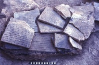 Ebla tablets in situ.
